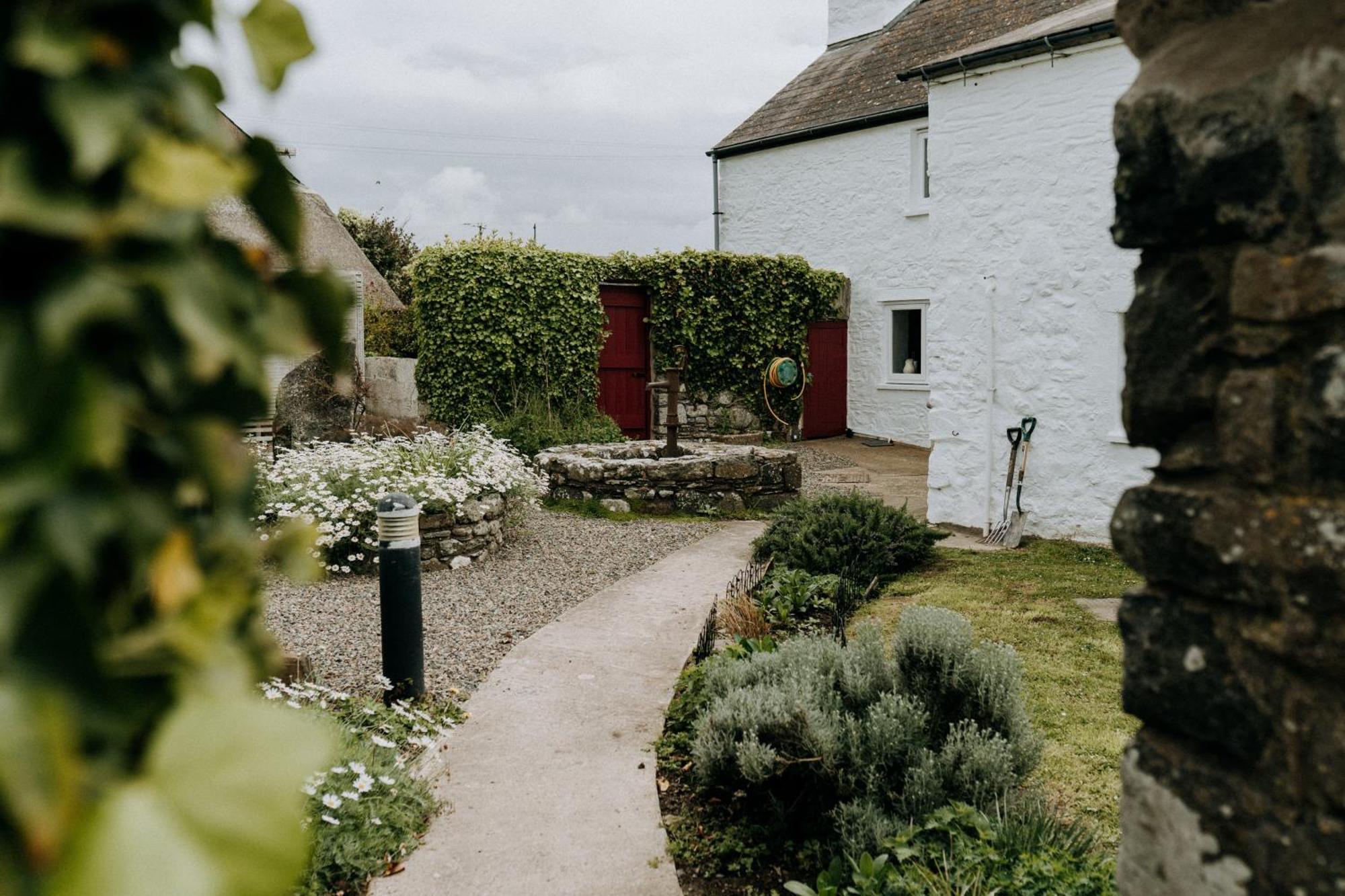 Treleddyn Farmhouse St. Davids  Dış mekan fotoğraf