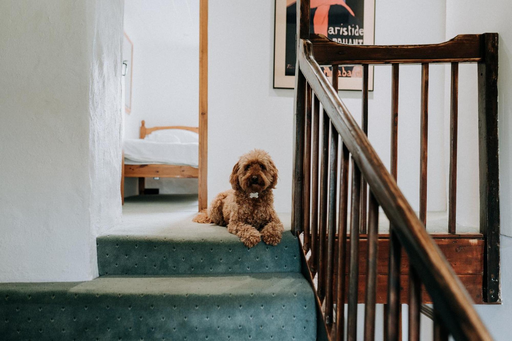 Treleddyn Farmhouse Villa St. Davids  Dış mekan fotoğraf